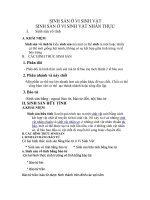 Vi Sinh Vat Nang Cao