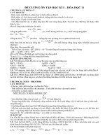 de on tap hoa 10