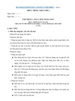 Giáo án môn Tiếng Việt lớp 2 Sách Cánh Diều - Tuần 2