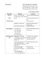 KHPH tuần 2 ( Lớp học của bé)