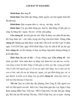 LOI DAP TU TRONG DAM HIEU