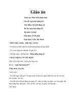 giao an phat trien the chat chu de 1 ngay