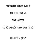 Tuần 33. MRVT: Lạc quan - Yêu đời
