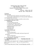 chu de ngay tet le hoi va mua xuan