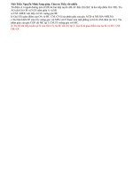 Nho Thay Nguyen Minh Sang giup Cam on Thay rat nhieu