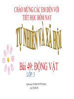 dong vat lop 3 tu nhien xa hoi