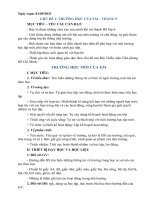 Trải nghiệm hướng nghiệp 6 - tuần 1