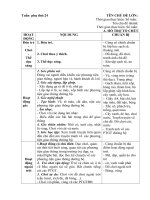 phụ tuần 24: Một số phương tiện giao thông đường bộ