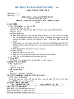 Giáo án môn Tiếng Việt lớp 2 Sách Cánh Diều - Tuần 8