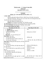 Giao an Tuan 16 Tuong Thao