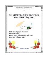 DHTHAK4 NGUYEN THI TRINHKTGHP