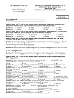 De thi thu THPT Quoc Gia 2017 mon Tieng Anh Lan 4