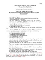 BAO CAO THANH TICH CA NHAN PCGDXMC 2016Nguyen Huu Nhon xa Binh Lang Tan Tru