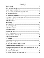 SANG KIEN KINH NGHIEM LINH LINH VUC PTNN