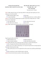 dethithuthptquocgiamonsinhtruongthptchuyennguyentraihaiduonglan2nam2017filewordcoloigiai