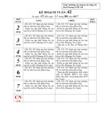 KE HOACH TUAN 42 NAM 2017