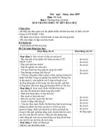 GIAO AN MI THUAT LOP 5