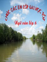 Bai 19 Song nuoc Ca Mau