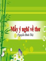 May y nghi ve tho Nguyen Dinh Thi
