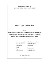 Quy trình giao nhận hàng hóa xuất nhập khẩu bằng đường hàng không tại công ty cổ phần airseaglobal việt nam