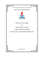 Thực trạng xây dựng và phát triển thương hiệu của tổng công ty thiết bị điện đông anh 