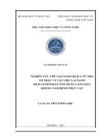 Nghiên cứu chế tạo nano silica từ tro vỏ trấu và vật liệu lai nano silica chitosan ứng dụng làm chất kháng nấm bệnh thực vật 