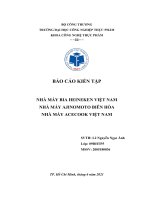 báo cáo kiến tập NHÀ MÁY BIA HEINEKEN VIỆT NAM, ACECOOK VIỆT NAM, YAKULT VIỆT NAM