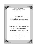 VẤN đề DÂN TỘC TRONG THỜI KÌ QUÁ độ LÊN CHỦ NGHĨA XÃ HỘI  LIÊN HỆ THỰC TRẠNG ở VIỆT NAM 