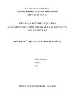 TIỂU LUẬN KẾT THÚC HỌC PHẦN MÔN NHỮNG QUY ĐỊNH CHUNG VỀ LUẬT DÂN SỰ, TÀI SẢN VÀ THỪA KẾ ĐIỀU KIỆN CÓ HIỆU LỰC CỦA GIAO DỊCH DÂN SỰ 