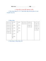 Phiếu bài tập cuối tuần môn Toán lớp 2 sách Cánh diều: Tuần 8