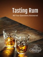 Rum tasting guide full size optimized