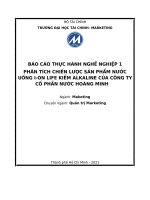 PHÂN TÍCH CHIẾN LƯỢC SẢN PHẨM NƯỚC UỐNG ION LIFE KIỀM ALKALINE CỦA CÔNG TY CỐ PHẦN NƯỚC HOÀNG MINH