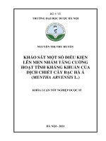 Khảo sát một số điều kiện lên men nhằm tăng cường hoạt tính kháng khuẩn của dịch chiết cây bạc hà á ( mentha arvensis l ) 