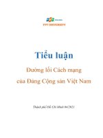 Phân tích chủ trương giải quyết các vấn đề xã hội của DCSVN trong đổi mới và đánh giá việc thực hiện đường lối.