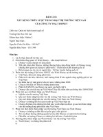 XÂY DỰNG CHIẾN lược THÂM NHẬP THỊ TRƯỜNG VIỆT NAM