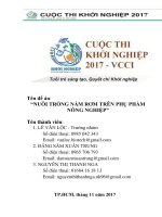 LE VAN LOC - Du an nam rom