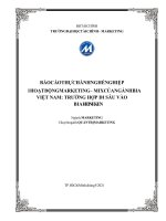 HOẠT ĐỘNG MARKETING – MIX CỦA NGÀNH BIA VIỆT NAM TRƯỜNG HỢP ĐI SÂU VÀO BIA HEINEKEN