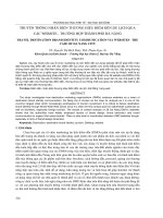 Truyền thông nhận diện thương hiệu điểm đến du lịch qua các website - trường hợp thành phố Đà Nẵng