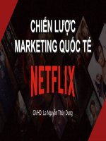 Bài thuyết trình chiến lược marketing quốc tế giới thiệu sơ lược – quá trình mở rộng của netflix  những thách thức trong quá trình mở rộng 