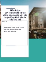 Tiểu luận lợi ích kinh tế và tác động của nó đối với các hoạt động kinh tế của các chủ thể