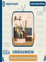 sự biến đổi của gia đình việt nam trong thời kỳ quá độ lên chủ nghĩa xã hội 