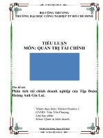 TIỂU LUẬN - QUẢN TRỊ TÀI CHÍNH - đề tài - Phân tích tài chính doanh nghiệp của Tập Đoàn Hoàng Anh Gia Lai.