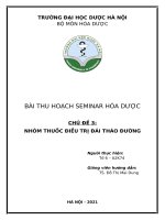 Tiểu luận Hóa dược Các thuốc điều trị tiểu đường