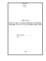Tiểu luận  quản lý dựa vào nhà trường tại trường tiểu học trường tiểu học âu cơ   từ lý luận đến thực tiễn