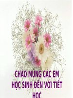 Giáo án ôn tập giữa kì 1 môn địa lý 6 