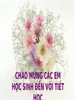 Giáo án điện tử bài chuyển động của trái đất quanh mặt trời và hệ quả (địa lý 6) 