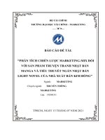 Phân tích chiến lược marketing mix đối với sản phẩm truyện tranh nhật bản manga và tiểu thuyết ngắn nhật bản light novel của nhà xuất bản kim đồng