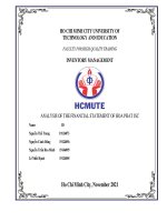 Financial statements analysis HPG 