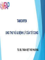 Bài giảng Tamoxifen ung thư vú & bệnh lý của tử cung - TS. BS. Trần Việt Thế Phương