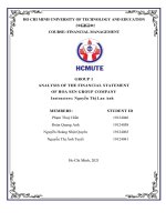 Financial statements analysis group 1 HSG 